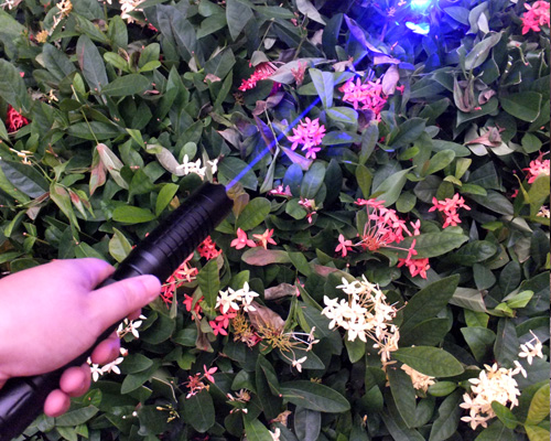 powerful laser pen